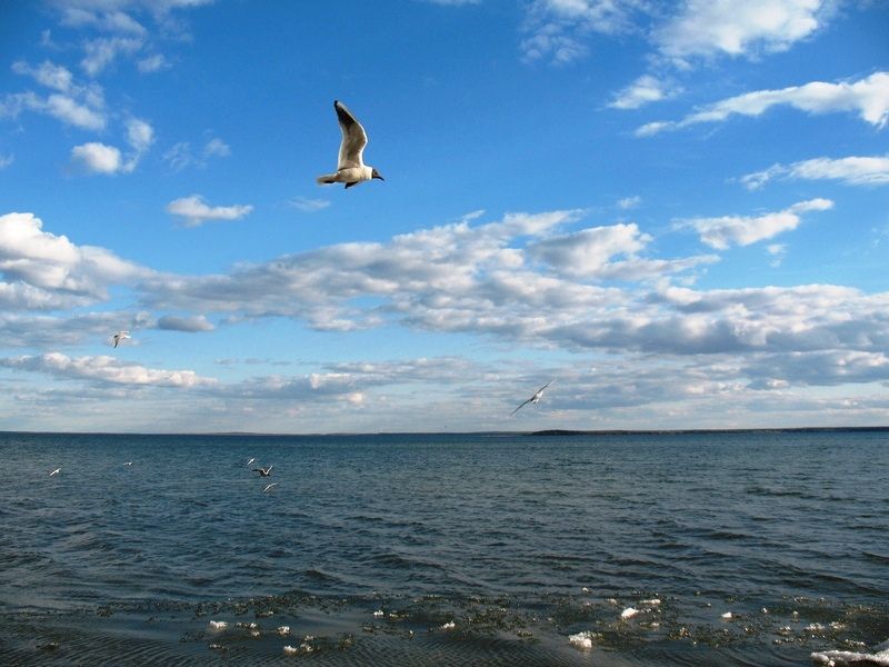 Национальный парк «Нарочанский»