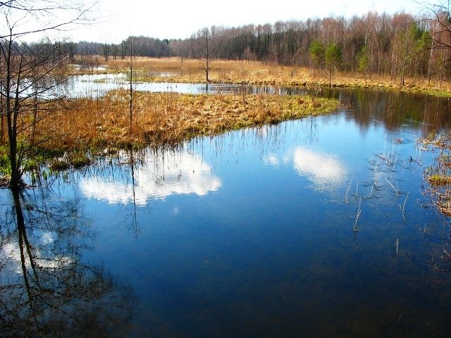 Национальный парк «Нарочанский»