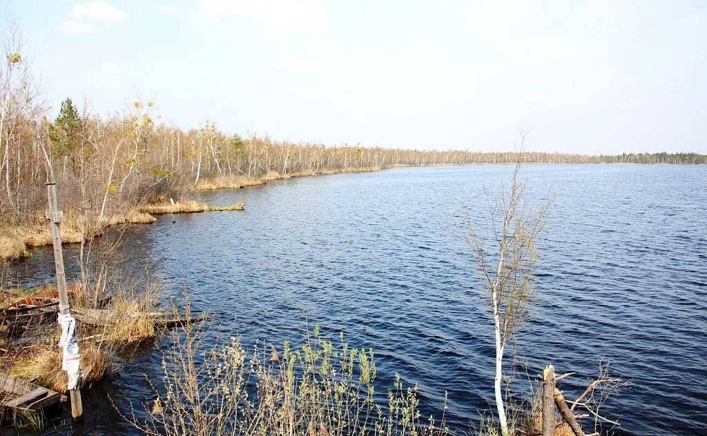 Национальный парк «Припятский» - Изображение 26