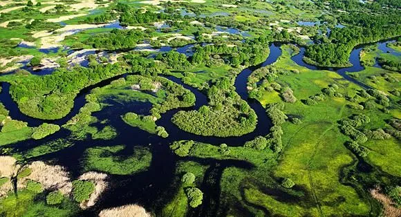 Национальный парк «Припятский» - Изображение 2