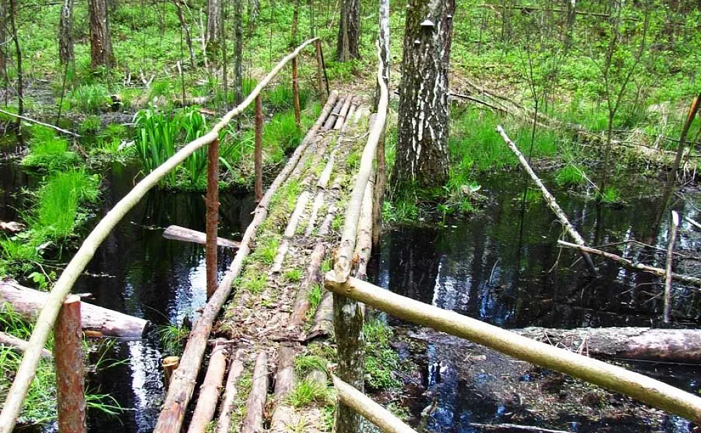 Припятский котел радиосканер. Припятский национальный парк. Припятский марш. Припятский лифт. Полоса Припятский Москва.